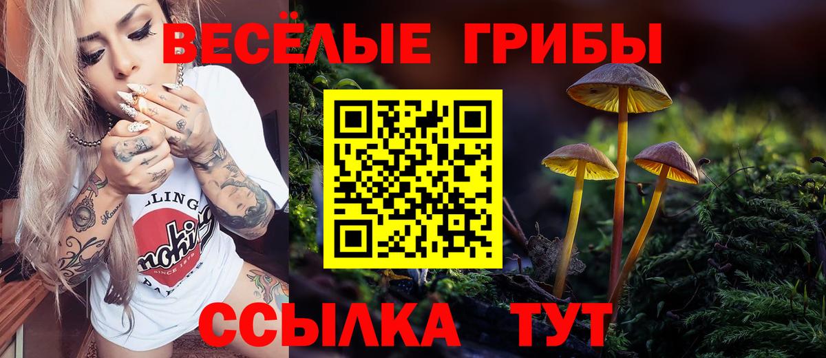 Галлюциногенные грибы мухоморы Лесной