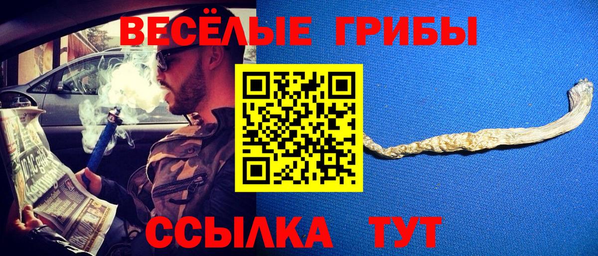 Лесной  Галлюциногенные грибы Cubensis  Вход с VPN 